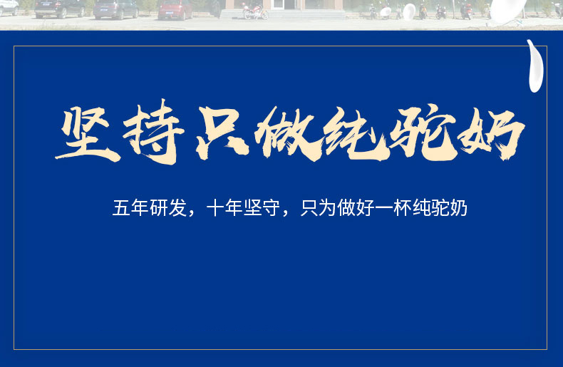 CA88����(�й���) - Ψһ�ٷ���վ