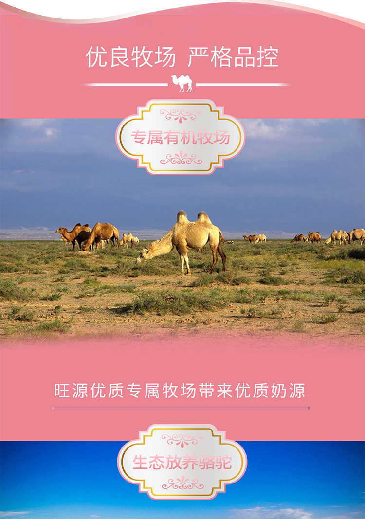 CA88����(�й���) - Ψһ�ٷ���վ