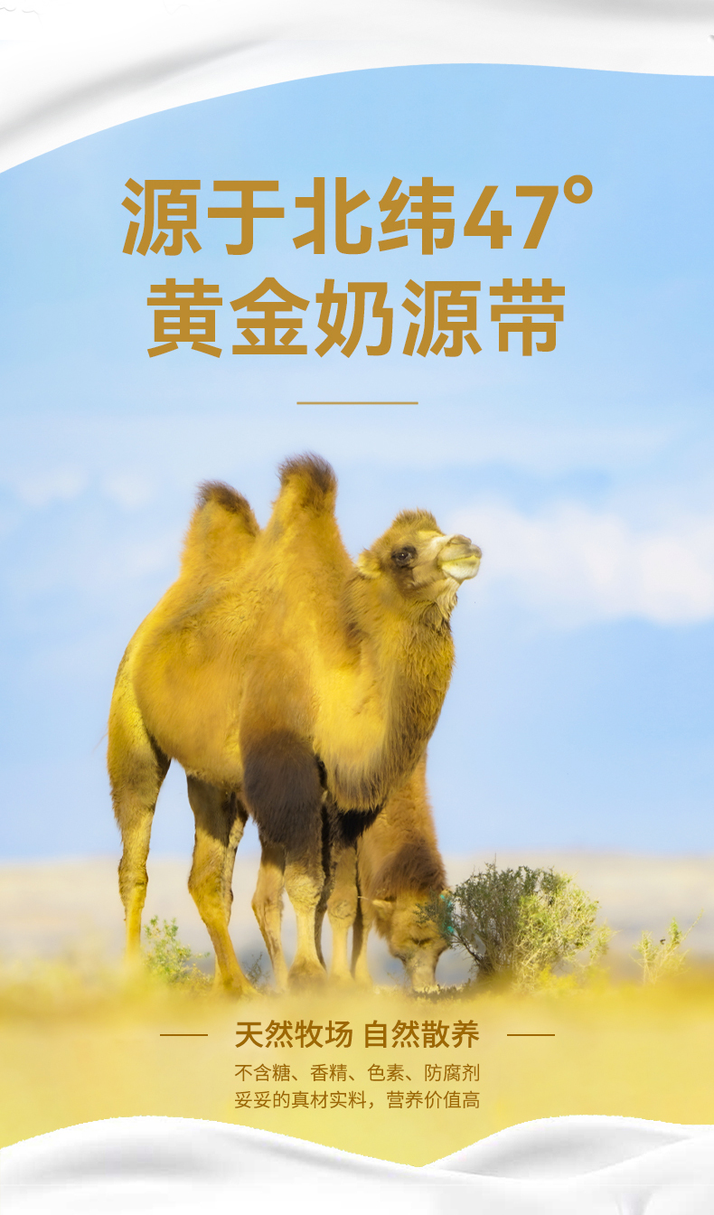 CA88����(�й���) - Ψһ�ٷ���վ