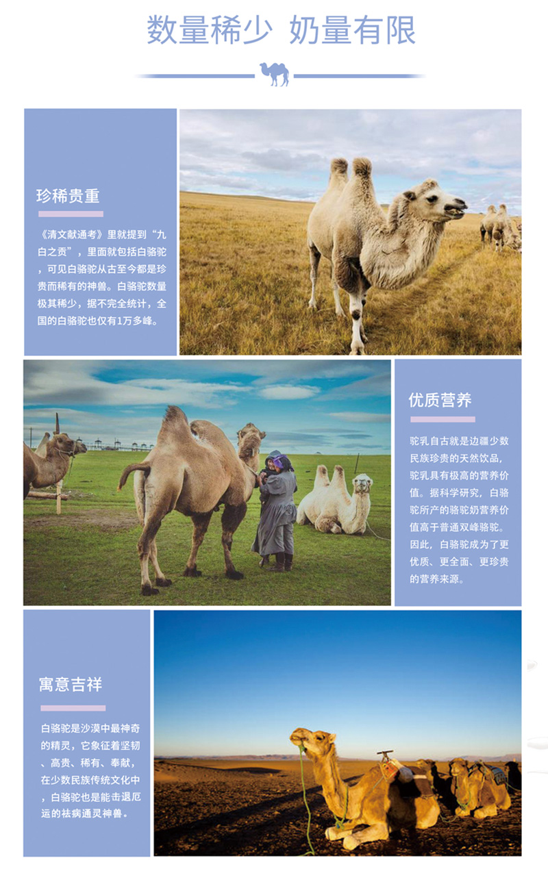 CA88����(�й���) - Ψһ�ٷ���վ