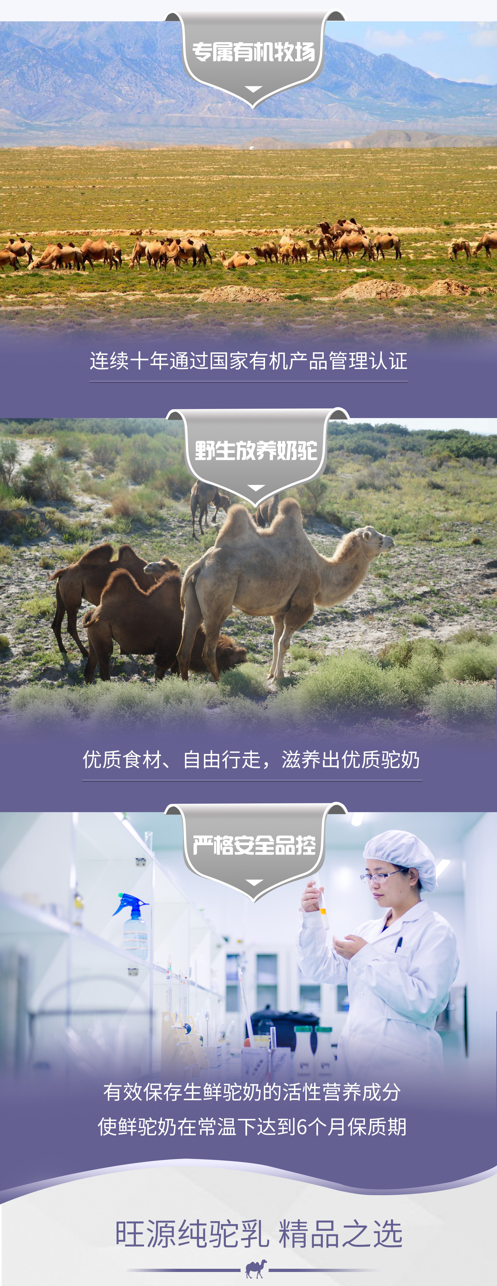 CA88����(�й���) - Ψһ�ٷ���վ