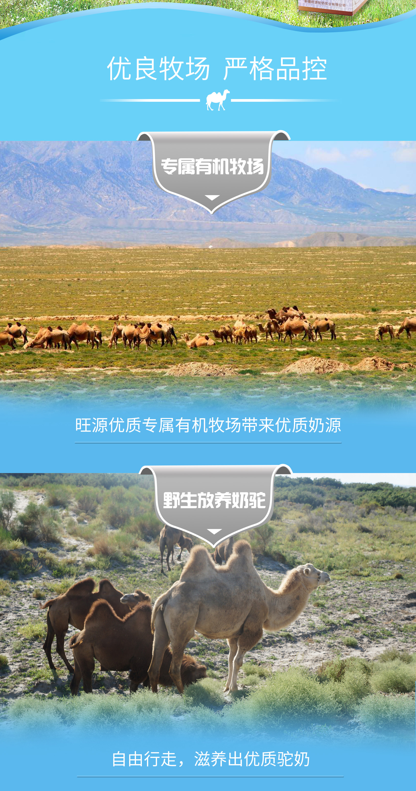 CA88����(�й���) - Ψһ�ٷ���վ