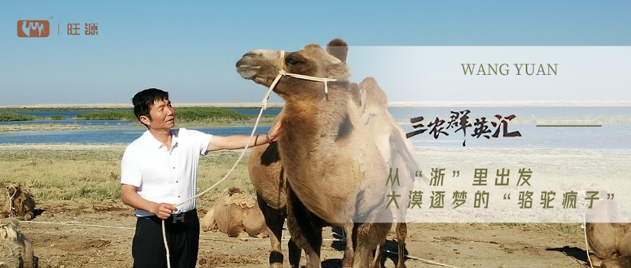 CA88����(�й���) - Ψһ�ٷ���վ