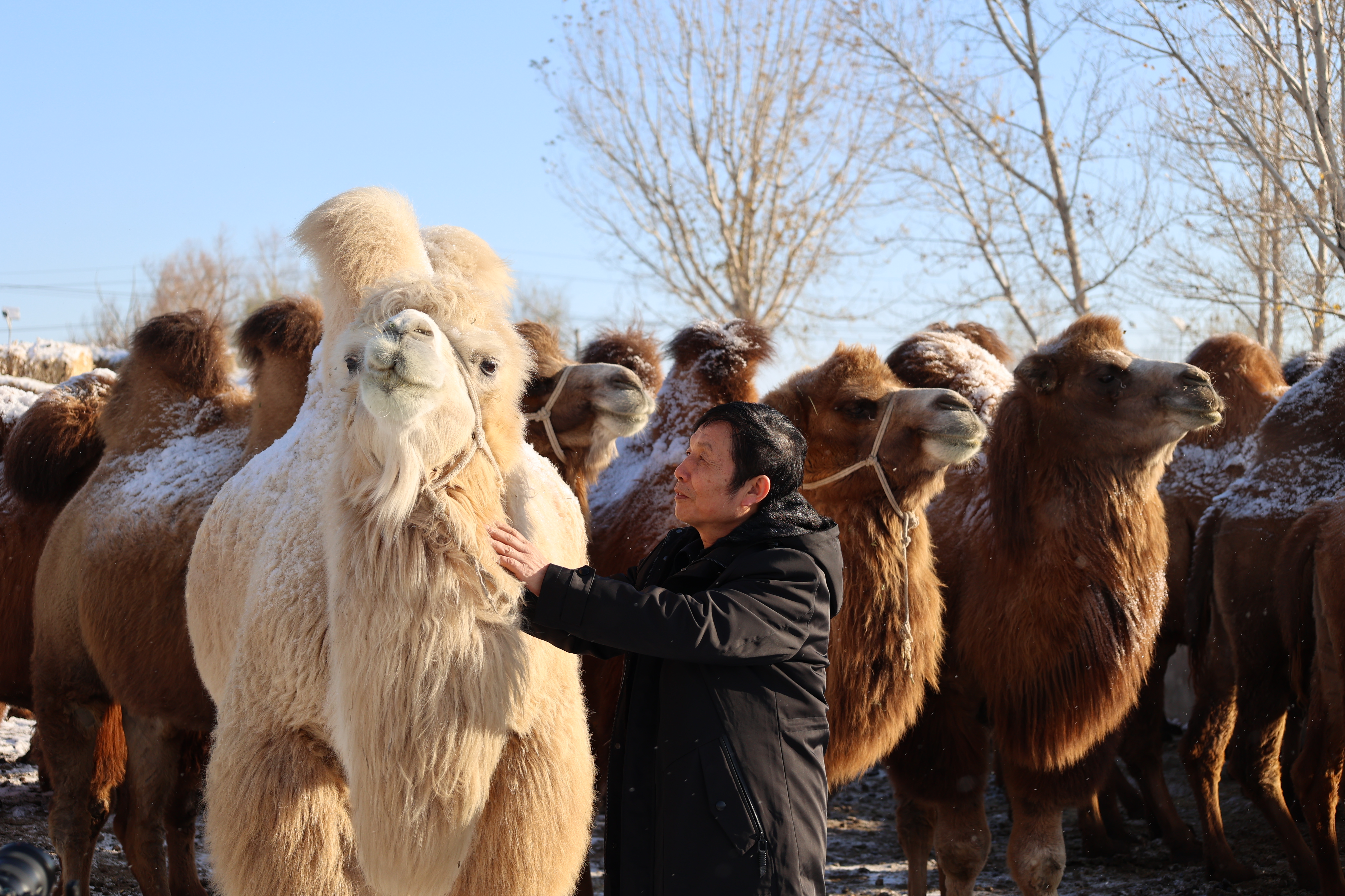 CA88����(�й���) - Ψһ�ٷ���վ