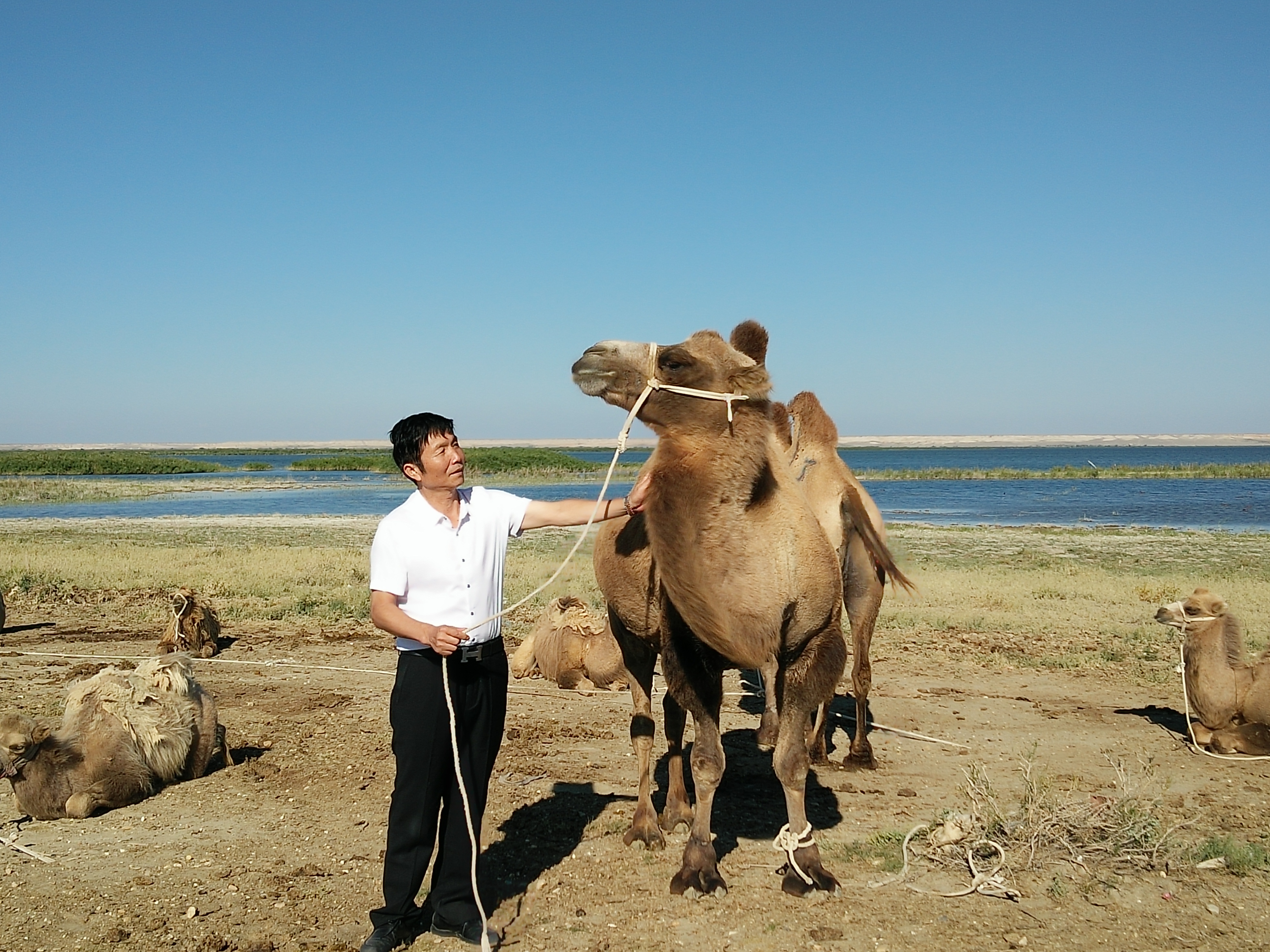 CA88����(�й���) - Ψһ�ٷ���վ