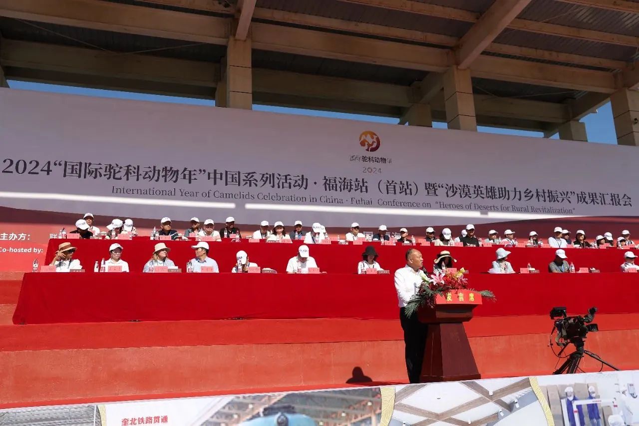 CA88����(�й���) - Ψһ�ٷ���վ