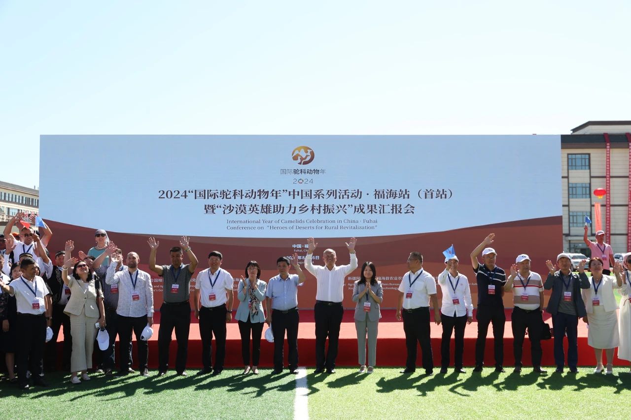 CA88����(�й���) - Ψһ�ٷ���վ