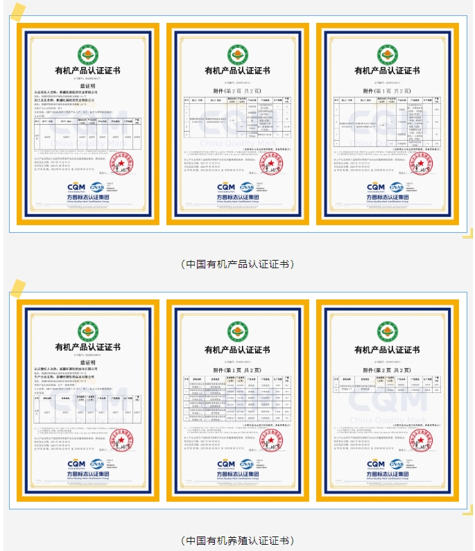 CA88����(�й���) - Ψһ�ٷ���վ