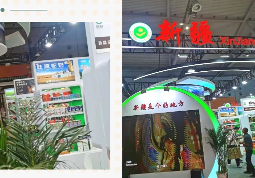 CA88����(�й���) - Ψһ�ٷ���վ