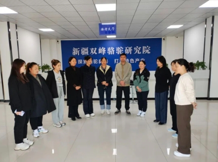 CA88����(�й���) - Ψһ�ٷ���վ