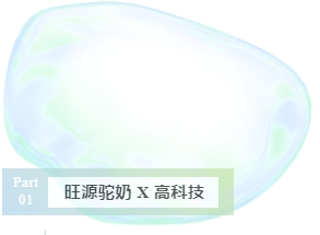 CA88����(�й���) - Ψһ�ٷ���վ