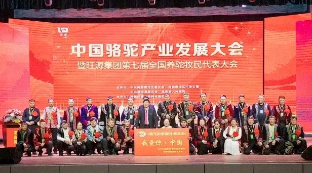 CA88����(�й���) - Ψһ�ٷ���վ