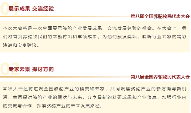 CA88����(�й���) - Ψһ�ٷ���վ