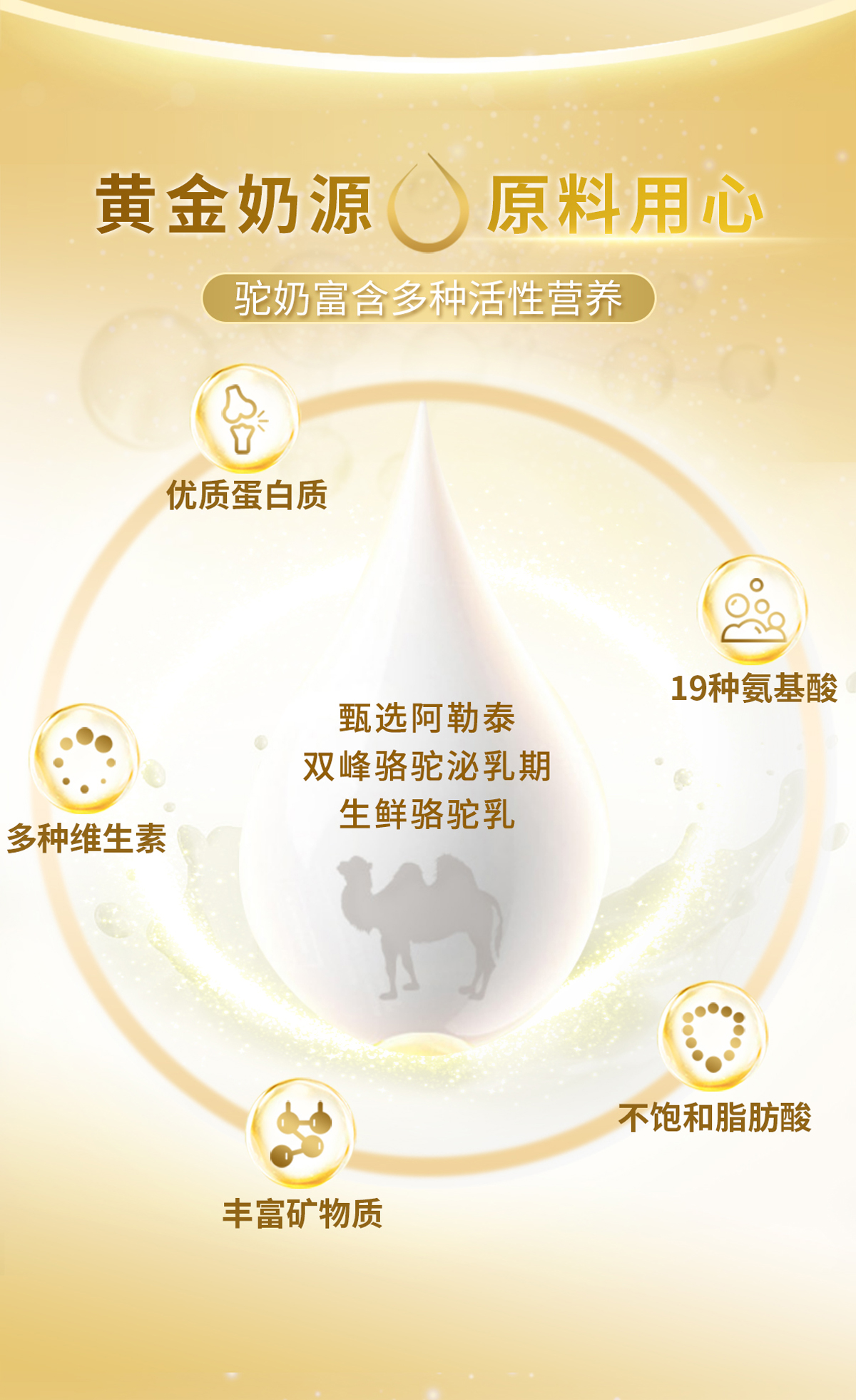 CA88����(�й���) - Ψһ�ٷ���վ