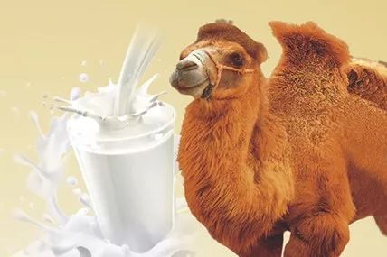 CA88����(�й���) - Ψһ�ٷ���վ